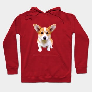 Corgi Puppy Sitting Red and White Pembroke Welsh Corgi Hoodie